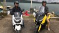 Jelajahi Kebun Raya Bedugul Bali
