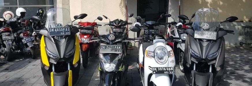 CSR Bali Rental